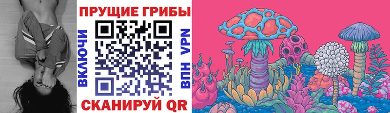 Псилоцибиновые грибы прущие грибы  Нерчинск 